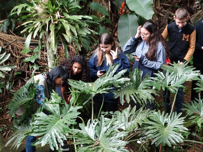 Elza_Nisimura_Woehl-Educacao_Ambiental2 Foto: GWoehljr