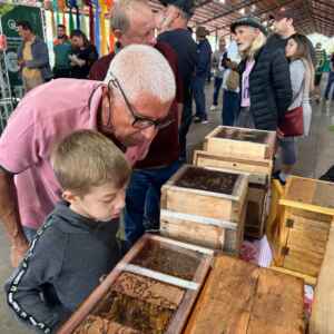 Polinizadores entram na agenda do planejamento urbano Foto: Prefeitura de Piracicaba