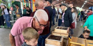 Polinizadores entram na agenda do planejamento urbano Foto: Prefeitura de Piracicaba