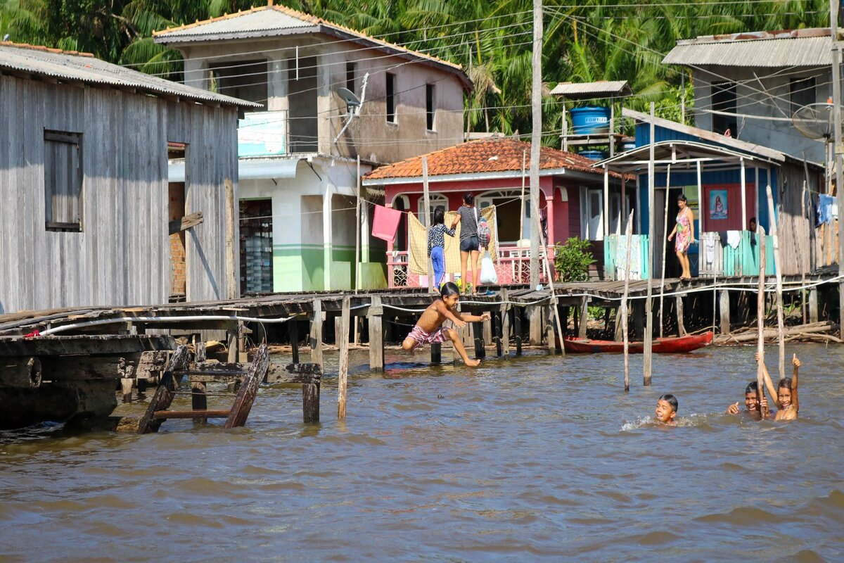 Reprodução - Alepa