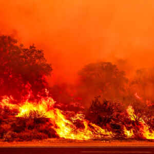 Nos Estados Unidos, congresso se divide sobre projeto para enfrentar incêndios Foto: BENJAMIN HANSON/Middle East Images/AFP via Getty Images