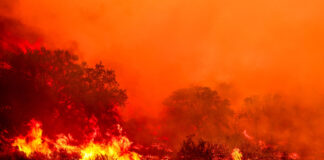 Nos Estados Unidos, congresso se divide sobre projeto para enfrentar incêndios Foto: BENJAMIN HANSON/Middle East Images/AFP via Getty Images