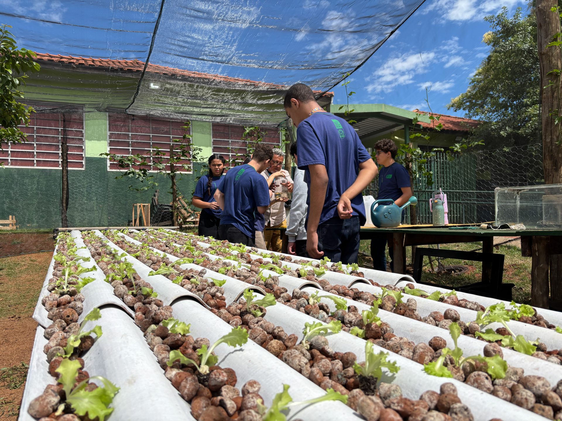 Horta Hidroponica Escola Estadual Foto Cid Nogueira SED 7 scaled 1