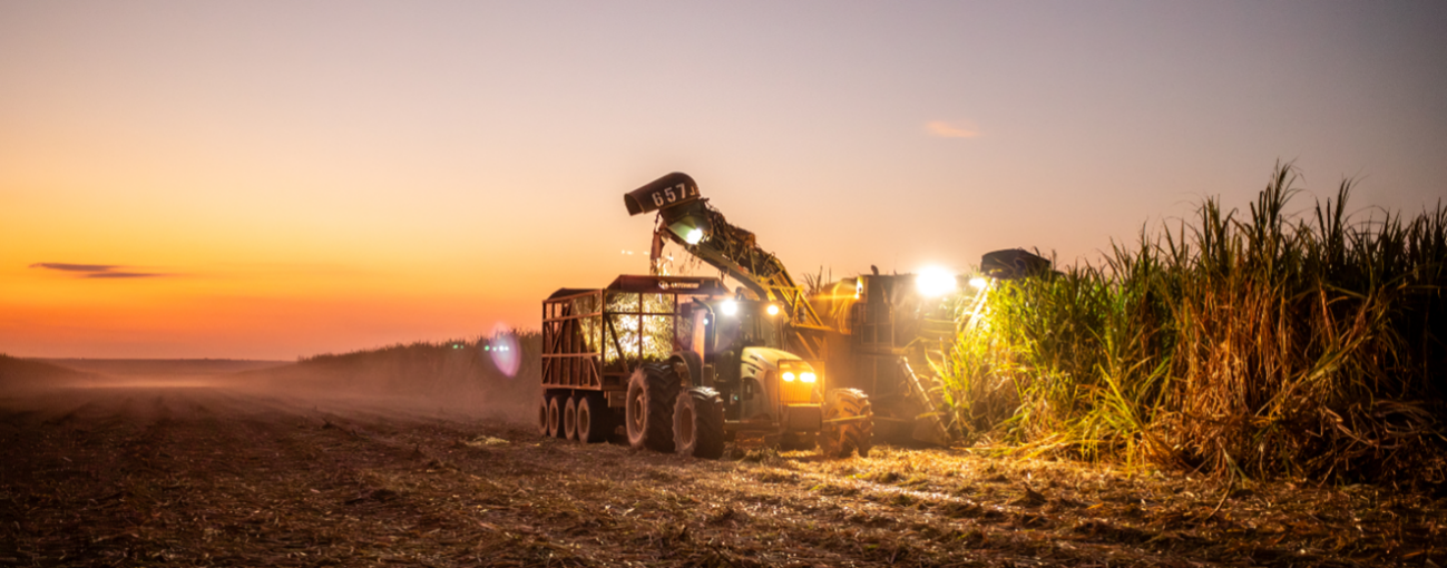 Por que a Raízen entrou em alerta financeiro apesar do lucro