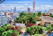 Conheça a infraestrutura verde, que surge como barreira contra caos climático nas cidades Reprodução