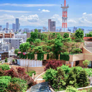 Conheça a infraestrutura verde, que surge como barreira contra caos climático nas cidades Reprodução