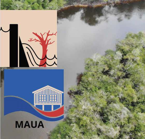 Áreas úmidas amazônicas e o Dia Mundial das Zonas Úmidas 10 Logo PELD MAUA SEM LEGENDA