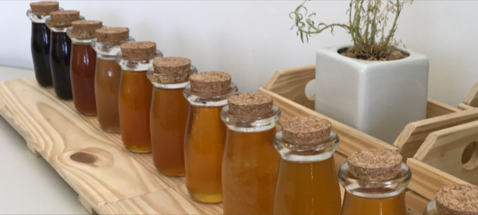 Reprodução - EMBRAPA