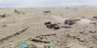 Muito além das estrelas existem 51 trilhões de microplásticos na água