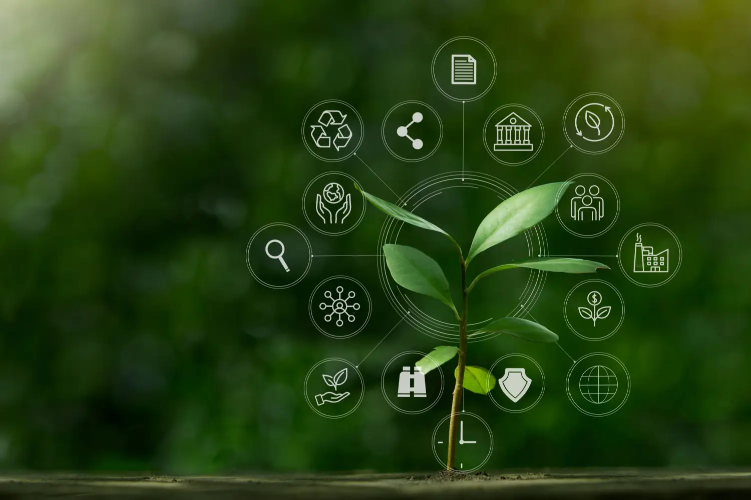 Imagem: Shutterstock