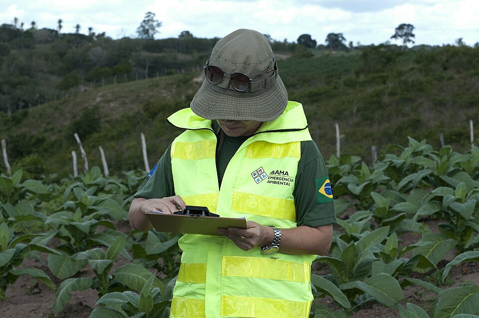 Liberalização de armas fortaleceu crime ambiental na Amazônia 2 Foto: Ibamagov