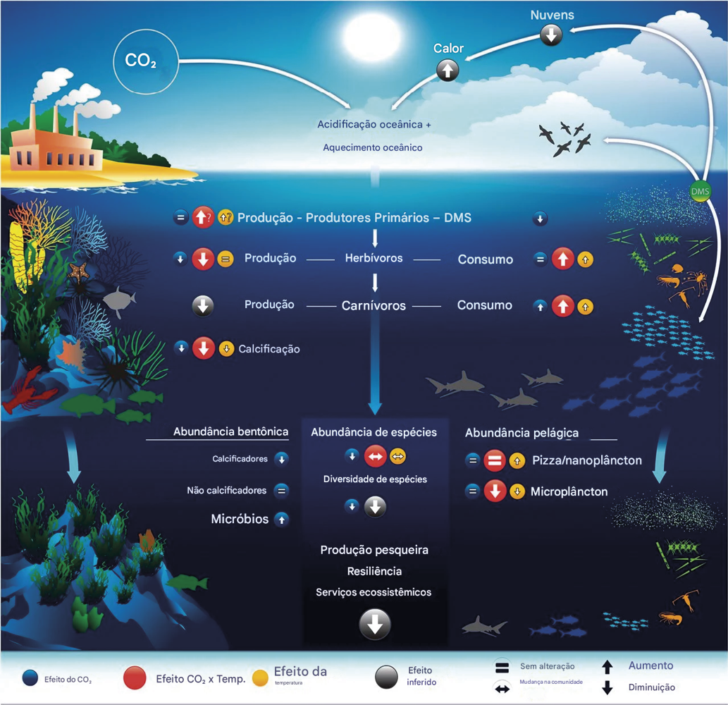 As mudanças climáticas na indústria global de frutos do mar 4 O aquecimento dos oceanos a acidifica o e a altera o das