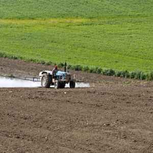 Pesticidas dominam solos europeus e ameaçam base invisível da vida Foto: Zeynel Cebeci