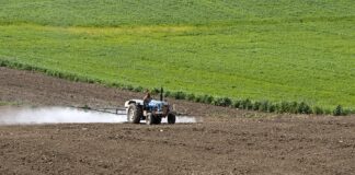Pesticidas dominam solos europeus e ameaçam base invisível da vida Foto: Zeynel Cebeci