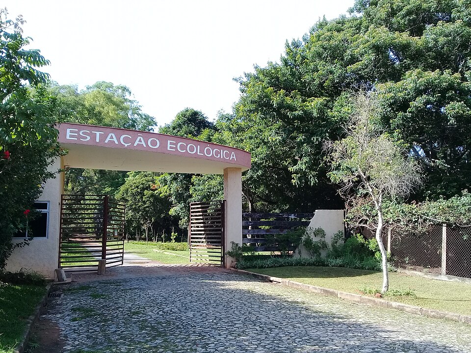 Foto: Geísa Pereira de Souza