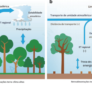 O desmatamento está secando a floresta amazônica Representação esquemática dos processos atmosféricos e da superfície terrestre responsáveis pelo enfraquecimento das interações entre a terra e o clima, devido ao desmatamento em larga escala na bacia amazônica meridional