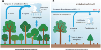 O desmatamento está secando a floresta amazônica Representação esquemática dos processos atmosféricos e da superfície terrestre responsáveis pelo enfraquecimento das interações entre a terra e o clima, devido ao desmatamento em larga escala na bacia amazônica meridional