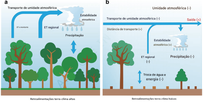 Representação esquemática dos processos atmosféricos e da superfície terrestre responsáveis pelo enfraquecimento das interações entre a terra e o clima, devido ao desmatamento em larga escala na bacia amazônica meridional