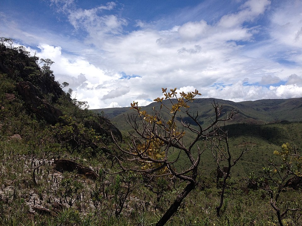 Foto: Luciana tavares de paula