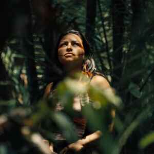 Cinema brasileiro leva crise climática e povos indígenas ao centro do debate global Divulgação