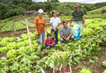 Agricultura familiar amplia mercado com apoio federal Reprodução - Food Safety Brazil