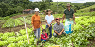 Agricultura familiar amplia mercado com apoio federal Reprodução - Food Safety Brazil
