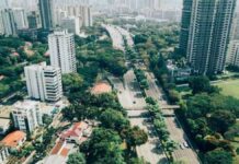 Vegetação estratégica reduz danos por vendavais em cidades e campos Reprodução