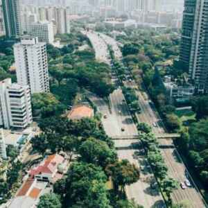 Vegetação estratégica reduz danos por vendavais em cidades e campos Reprodução