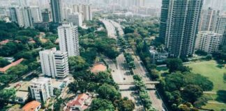 Vegetação estratégica reduz danos por vendavais em cidades e campos Reprodução