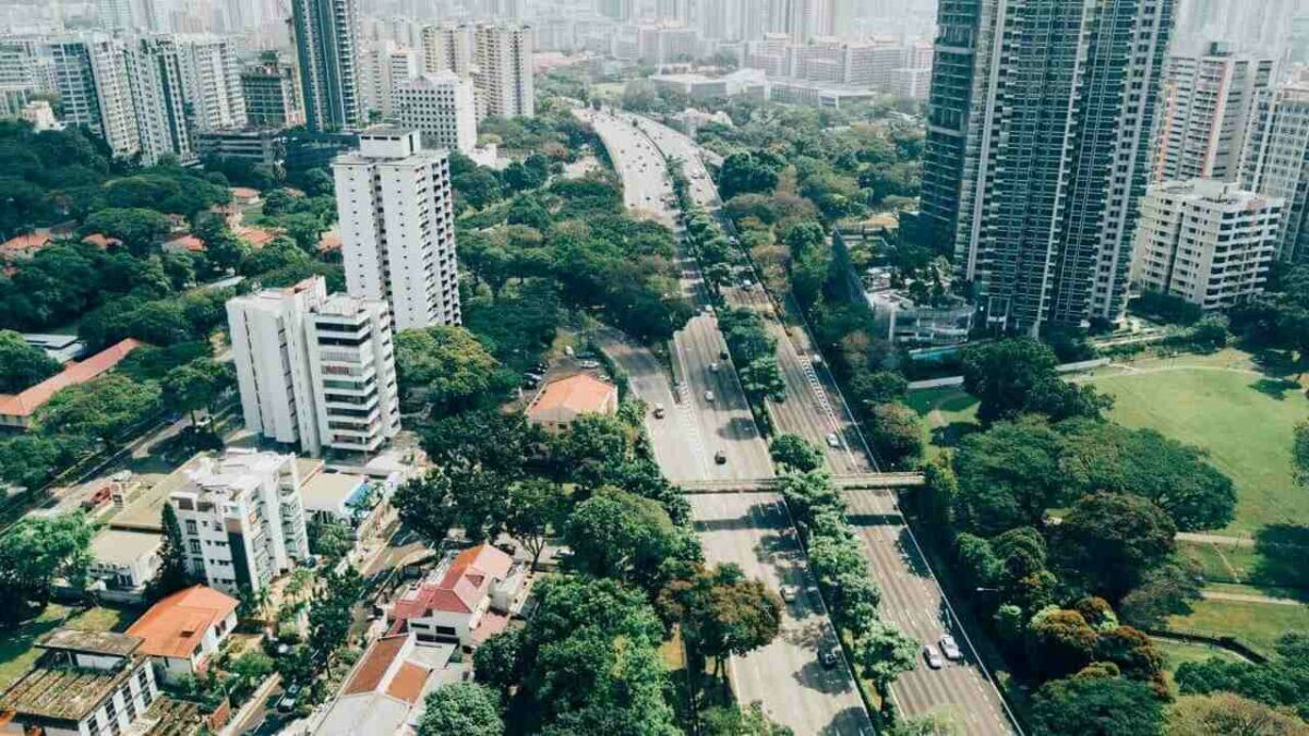 Arborização, além da estética, vira estratégia de saúde pública e combate à segregação 1 Reprodução