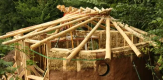 Bioconstrução como caminho real para habitação social sustentável Reprodução - Recicloteca