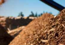 Biomassa ganha espaço na descarbonização do cimento Reprodução - Jacto