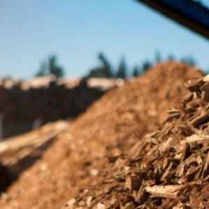 Biomassa ganha espaço na descarbonização do cimento Reprodução - Jacto