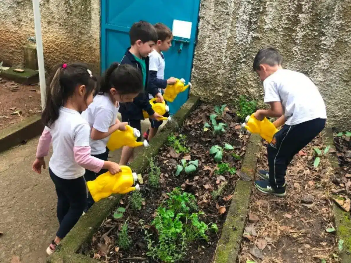 escola lixo zero 6 urrv7lgv3msw 1