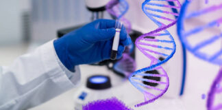 CRISPR entra na clínica e expõe os limites da ciência Reprodução