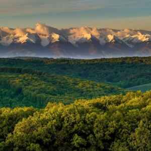 Romênia digitaliza monitoramento nacional de florestas Reprodução