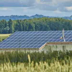 Fundo Clima impulsiona projetos de energia sustentável Foto: rawpixel.com