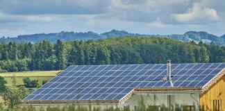 Fundo Clima impulsiona projetos de energia sustentável Foto: rawpixel.com