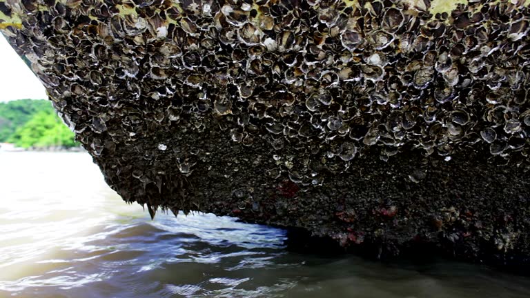 gettyimages 472879941 640x640 1