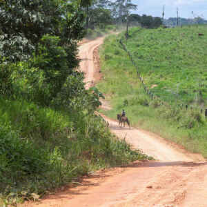 Regularização fundiária pode definir futuro da Amazônia