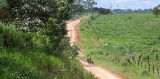 Regularização fundiária pode definir futuro da Amazônia