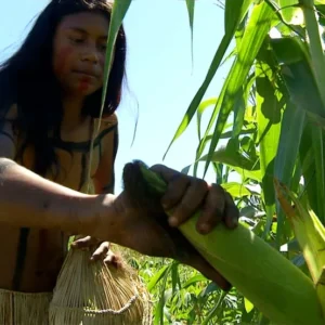 Tecnologias ancestrais desafiam modelos modernos de adaptação climática Foto: Reprodução/TV Anhanguera