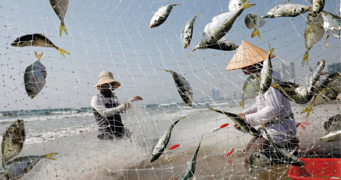 As mudanças climáticas na indústria global de frutos do mar 5 large NL1ErbH5CBoYB3K m5whbPfbu G2l7KHw6t7izHUTwM