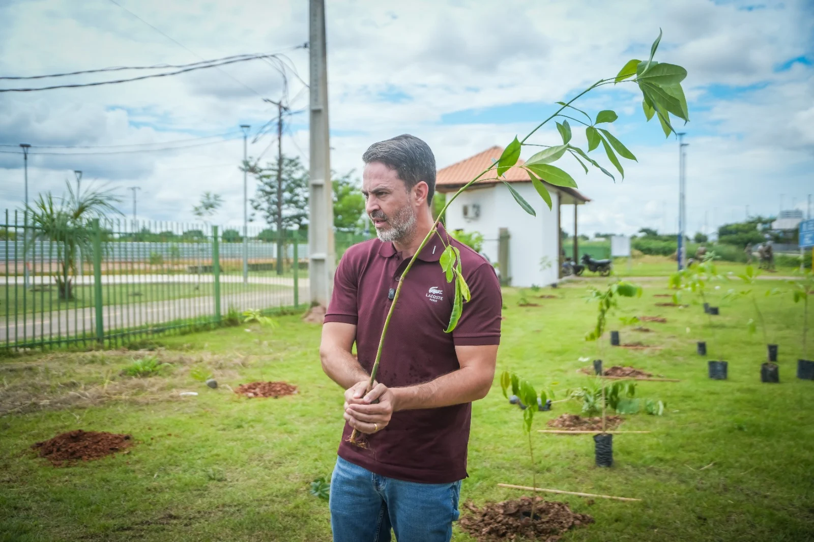 Porto Velho aposta em microflorestas urbanas e transforma vazios em pomares públicos 2 Divulgação - Porto Velho