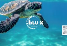 Blu-X coloca Cabo Verde no radar do capital verde brasileiro