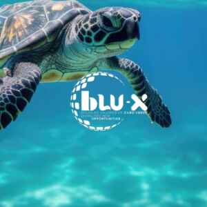 Blu-X coloca Cabo Verde no radar do capital verde brasileiro