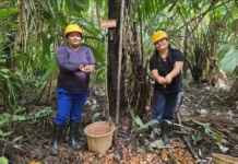Mulheres impulsionam bioeconomia dos óleos na Amazônia Crédito: Anderson Águia/Natura/WEG