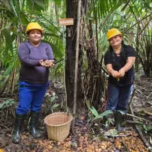 Mulheres impulsionam bioeconomia dos óleos na Amazônia Crédito: Anderson Águia/Natura/WEG