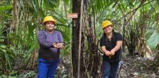 Mulheres impulsionam bioeconomia dos óleos na Amazônia Crédito: Anderson Águia/Natura/WEG