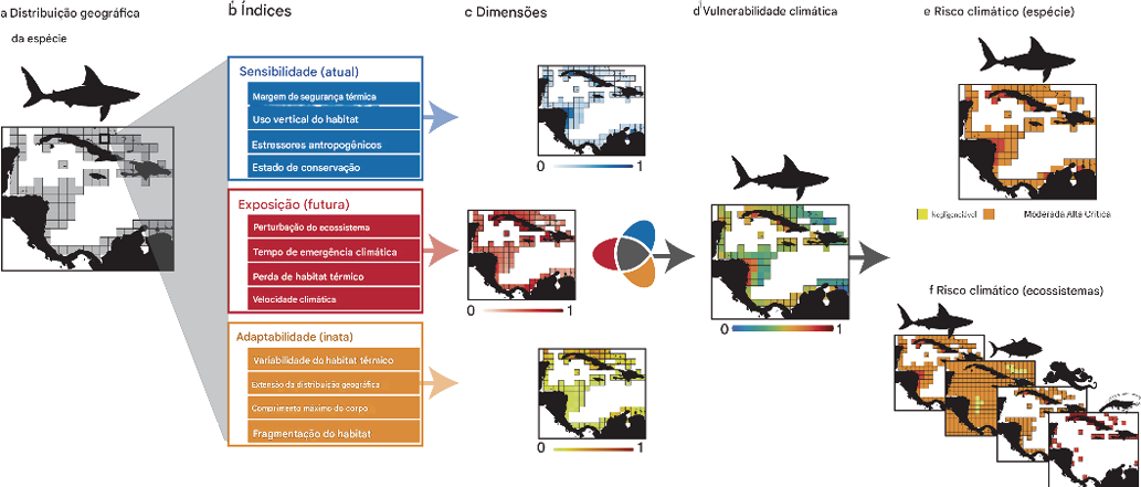 As mudanças climáticas na indústria global de frutos do mar 3 ndice de risco clim tico para a vida marinha